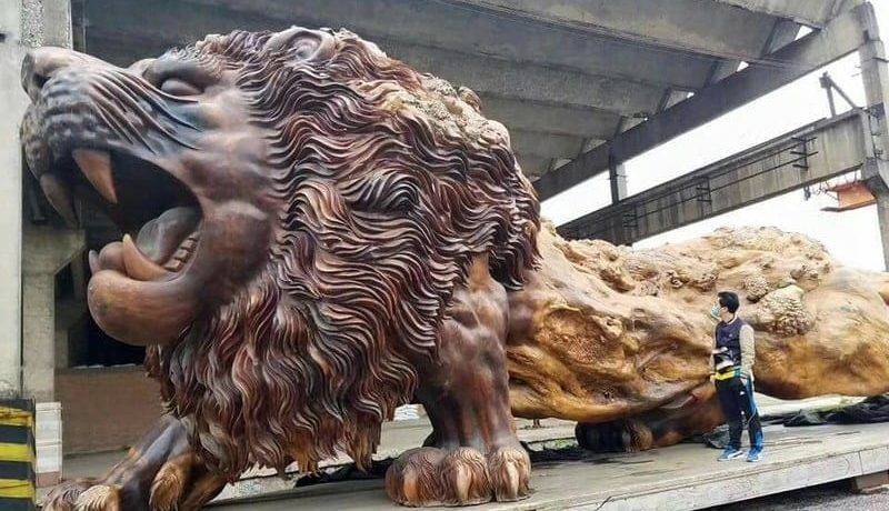 Самый большой лев в мире фото
