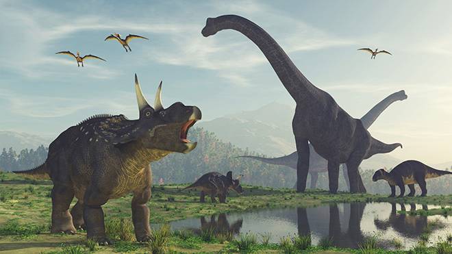 В каких условиях жили динозавры?