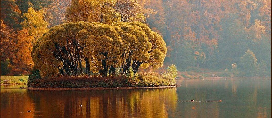 Осенняя красота природы