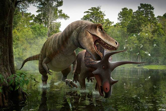 Как давно жили динозавры?