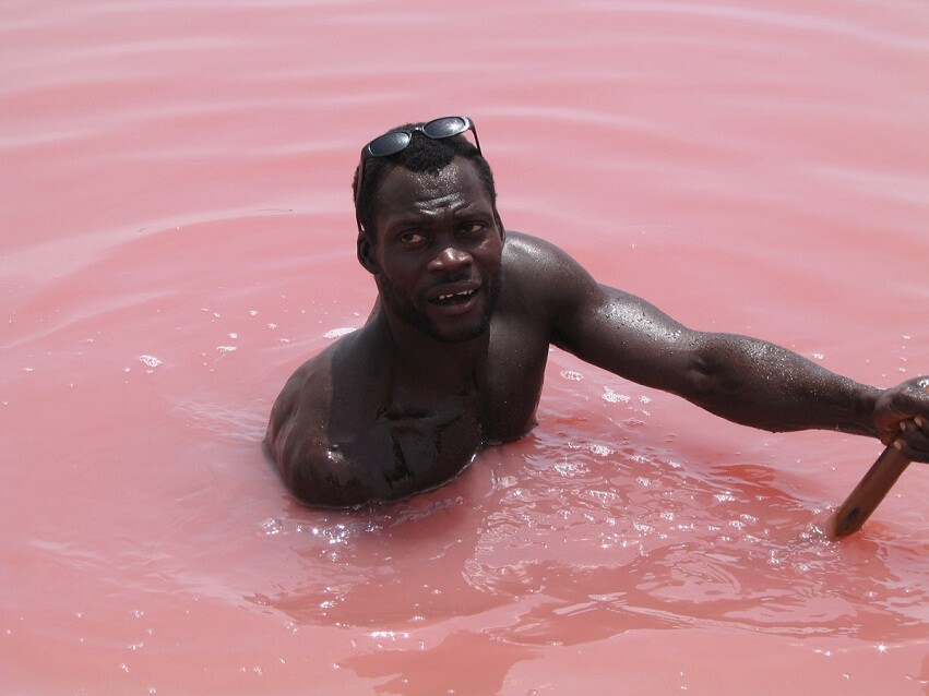 Розовое озеро в австралии фото