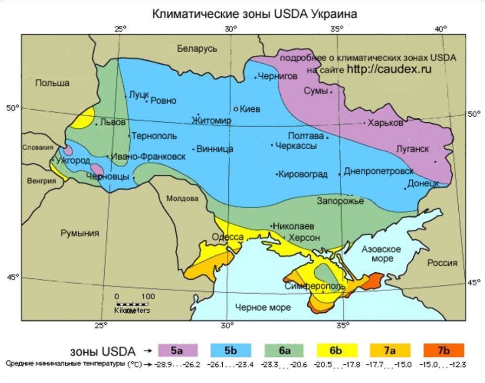 климатические зоны украины