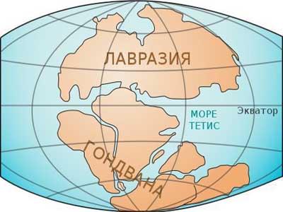 Материк или часть света рисунок