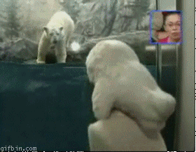 Сколько осталось белых медведей