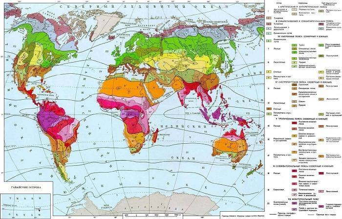 Смотрите географическое положение зоны смешанных лесов на карте природных зон.
