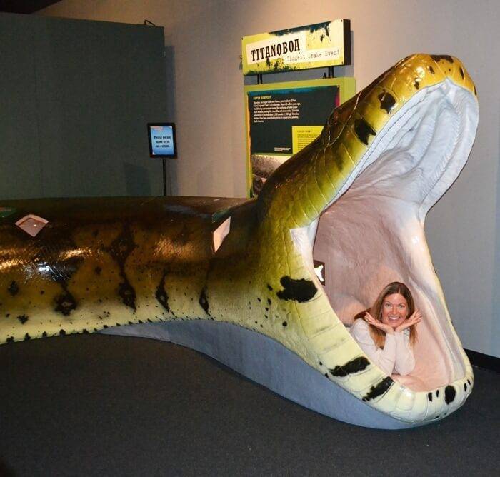 Самая большая змея на земле