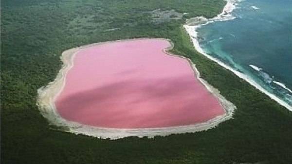 Розовое озеро в сенегале
