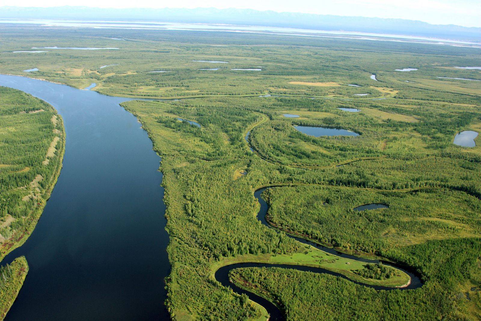 самая длинная река в россии