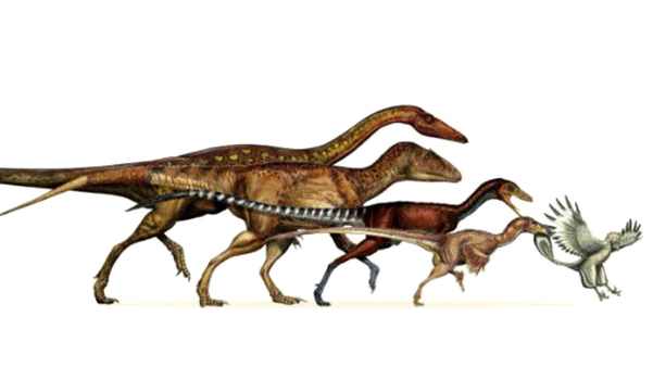 Интересные факты о динозаврах для детей