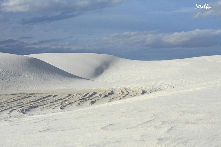 Пустыня Белых Песков (США)
