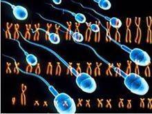 Двойной набор хромосом