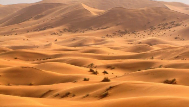 Пустыня Сахара. Автор24 — интернет-биржа студенческих работ