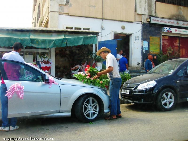 Цветы алжира