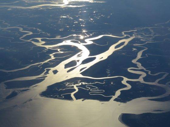 Что такое дельта реки в географии?