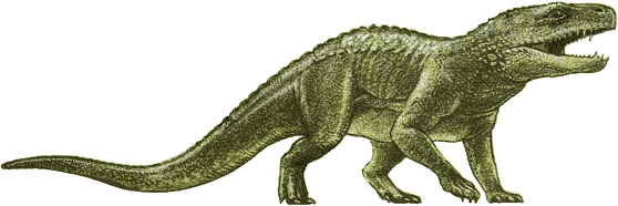 Сколько существует видов динозавров