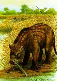 Первые млекопитающие появились на земле
