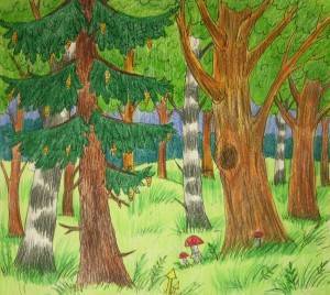Широколиственный лес рисунок