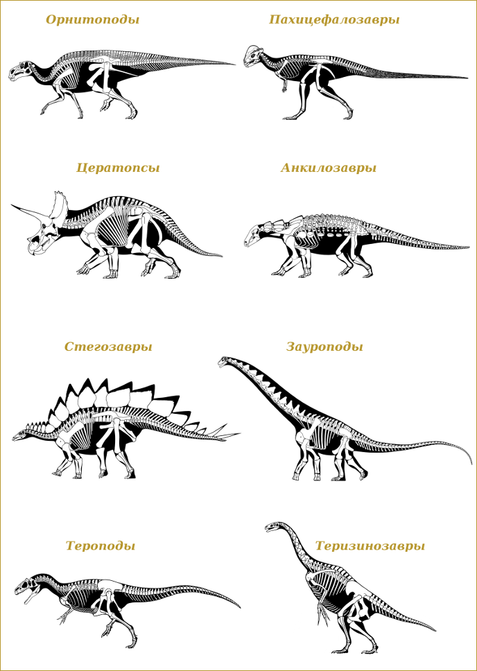 Фотки про динозавров