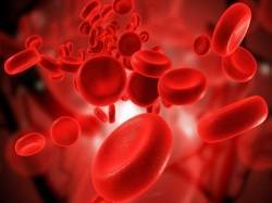 Интересные факты о кровообращении человека