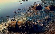 Самое загрязненное озеро в россии