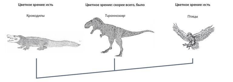 Динозавры история происхождения